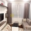 Really nice 2 bedrooms apartment for rent in Masteri